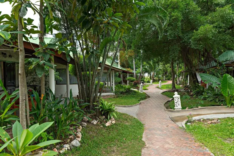 Garden path winding between the villas